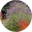 Paula Remmel profile picture